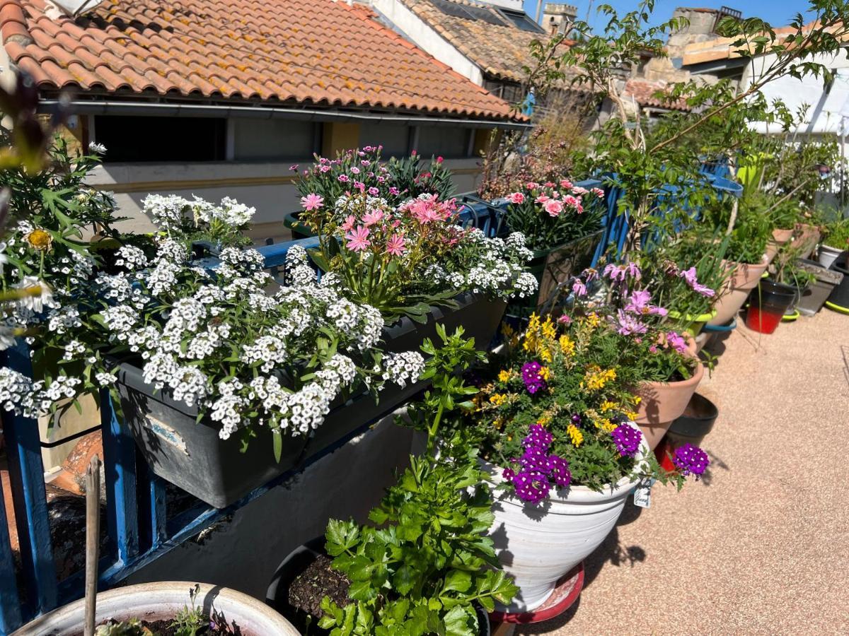 Loft Apartment , La Terrasse Centre Ville D'Arles, エクステリア 写真